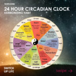 What are Circadian Rhythms?